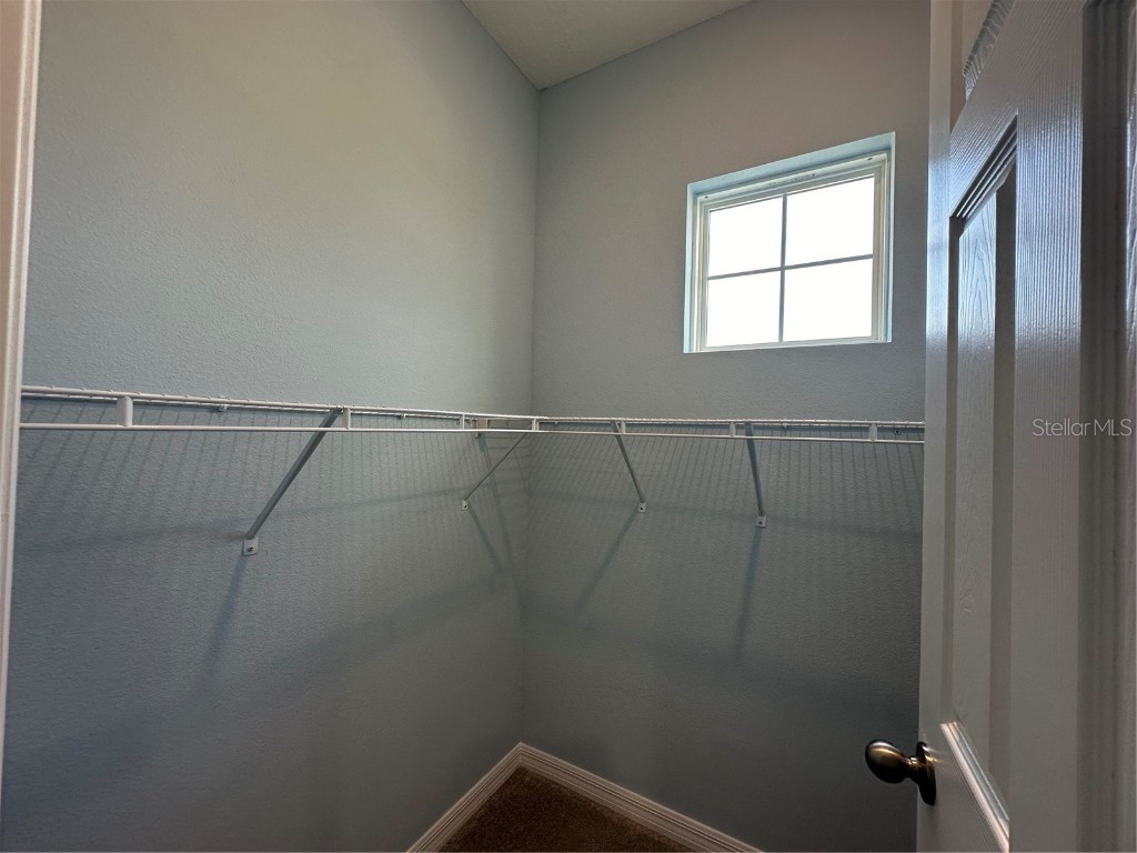 7399 Mezzano Lane Winter Garden FL 34787 O6341107 image19