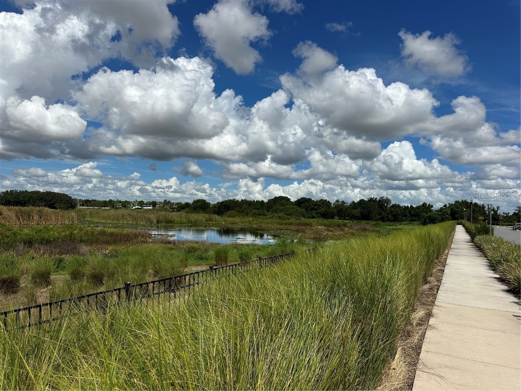 7399 Mezzano Lane Winter Garden FL 34787 O6341107 image31