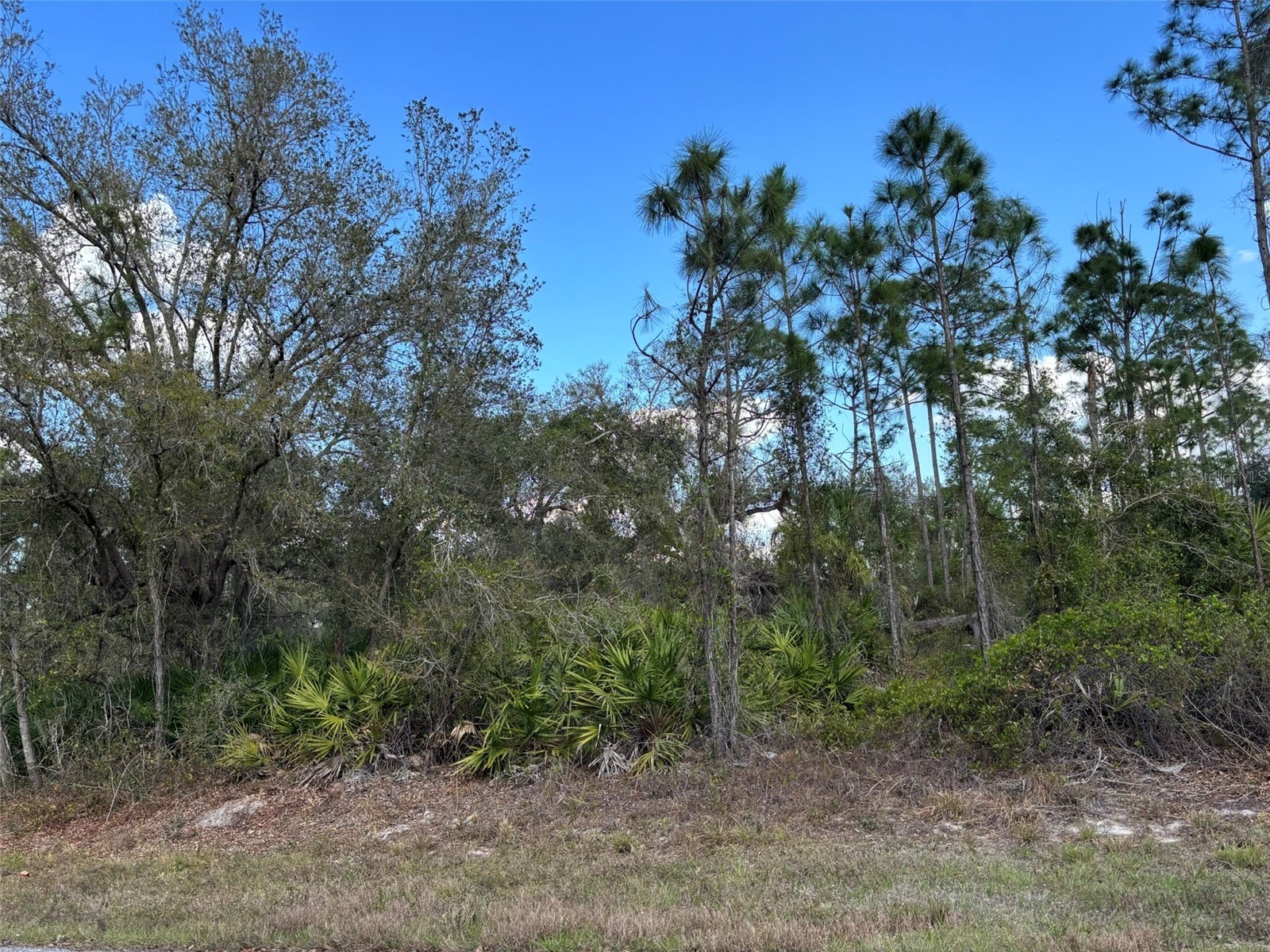74 Baldur Drive Port Charlotte FL 33954 A4643463 image2