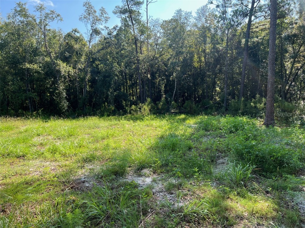 74 Conifer Circle Middleburg FL 32068 GC526359 image1