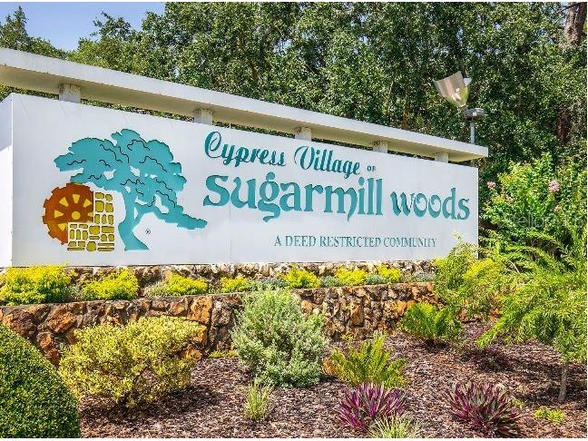 74 Greentree Street Homosassa FL 34446 O6310673 image21