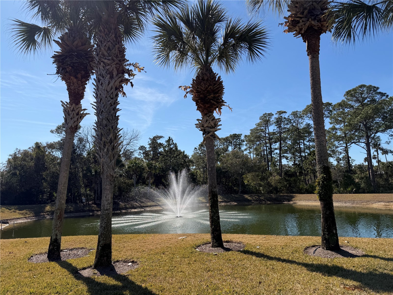 74 Heron Drive Palm Coast FL 32137 - Emerald lake FC316305 image44