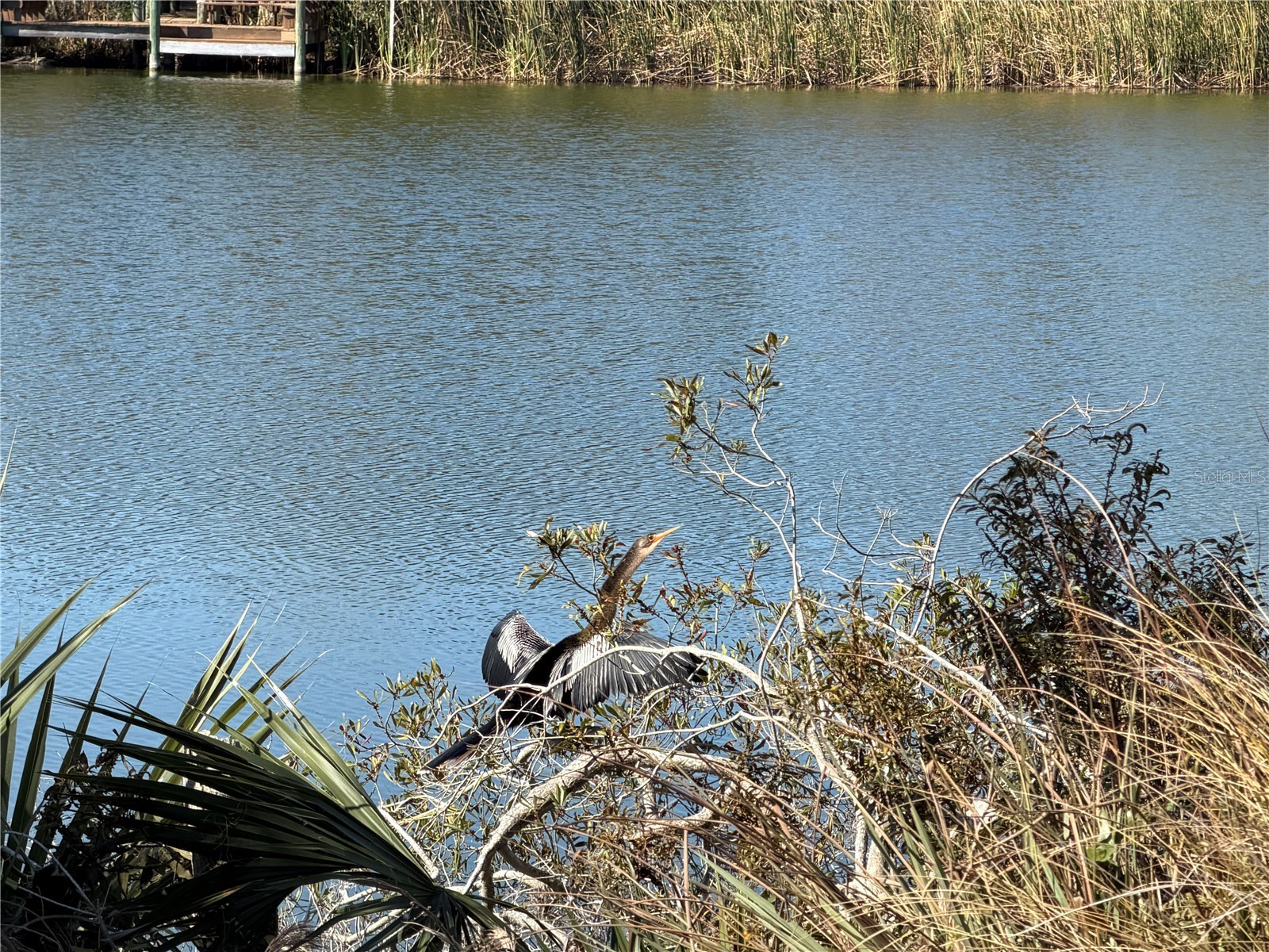 74 Heron Drive Palm Coast FL 32137 - Emerald lake FC316305 image8