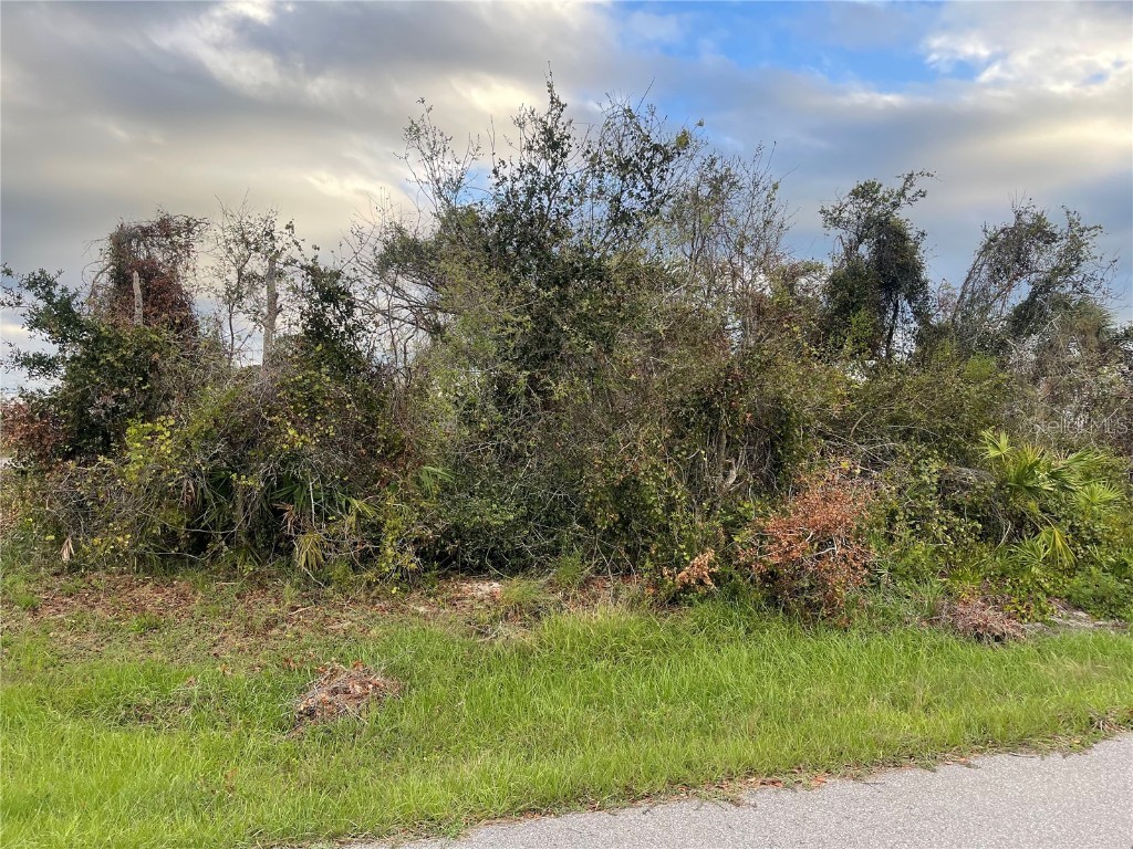 74 Success Drive Punta Gorda FL 33982 C7467186 image1