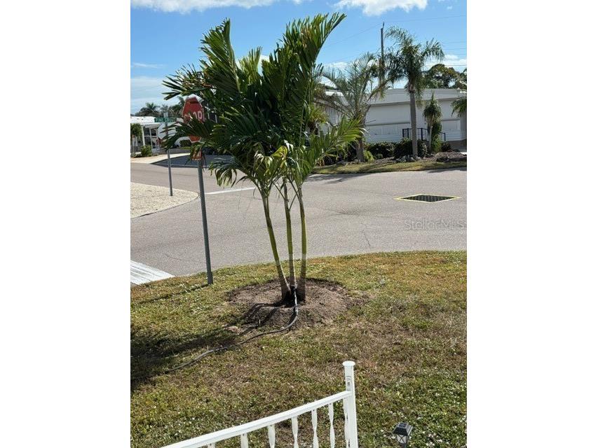 740 Carefree Venice FL 34285 N6142934 image23