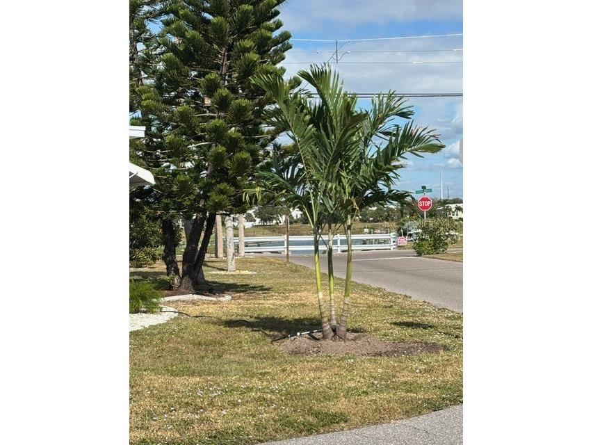 740 Carefree Venice FL 34285 N6142934 image24