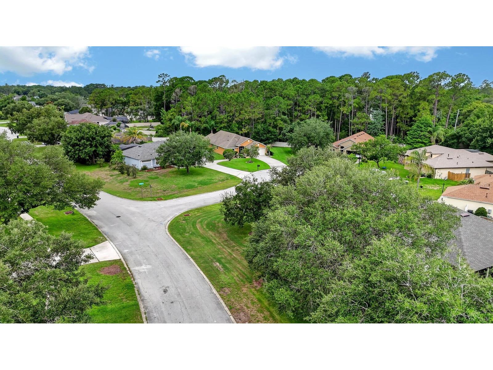 740 Hornbean Court Deltona FL 32725 V4949434 image46