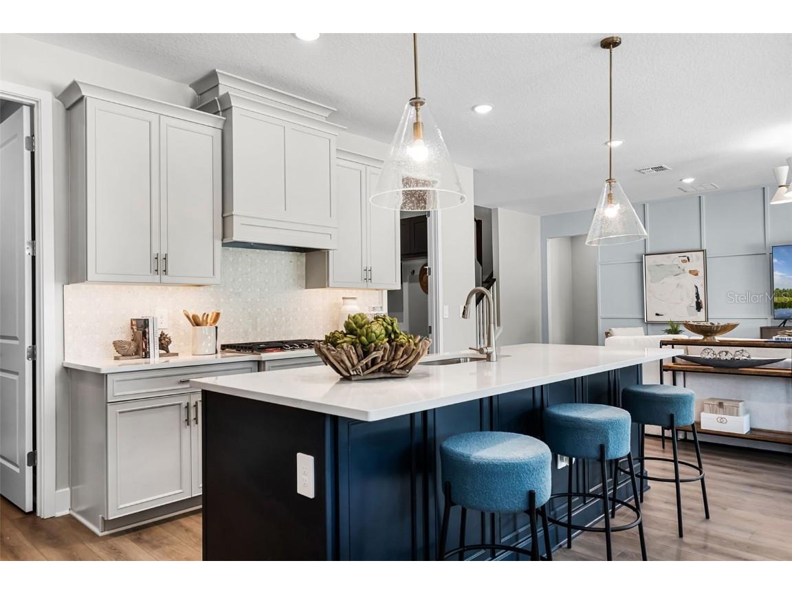 740 Mystic Gardens Drive Apopka FL 32703 W7879869 image4