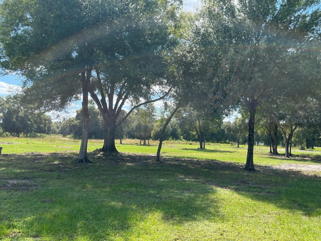 740 N Fronda Street Clewiston FL 33440 O6360618 image5