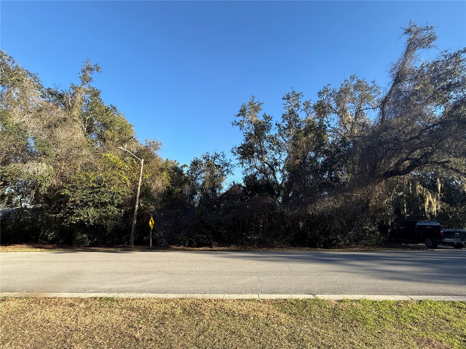 740 Old Treeline Trail Deland FL 32724 V4946767 image1
