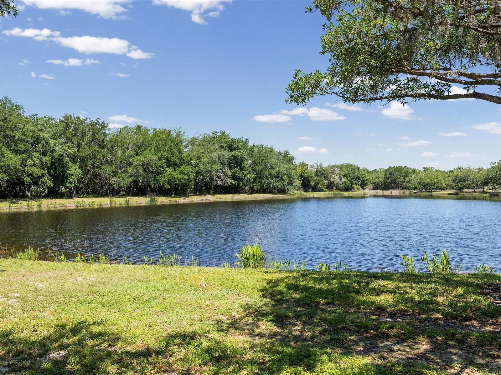 740 Rosemary Circle Bradenton FL 34212 TB8503410 image28