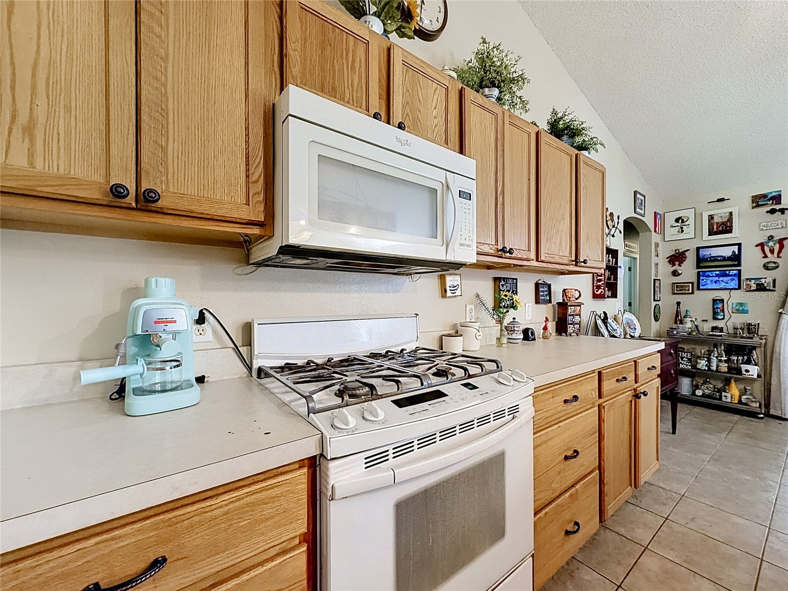 7400 Lake Marni Court Mount Dora FL 32757 O6405581 image10