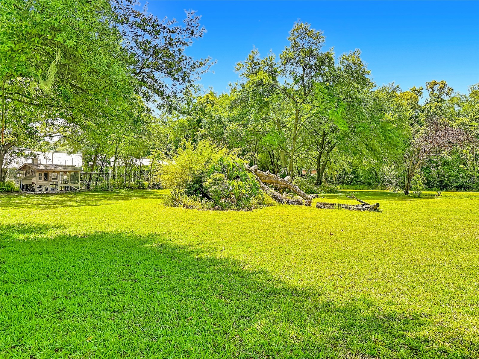 7400 Lake Marni Court Mount Dora FL 32757 O6405581 image38