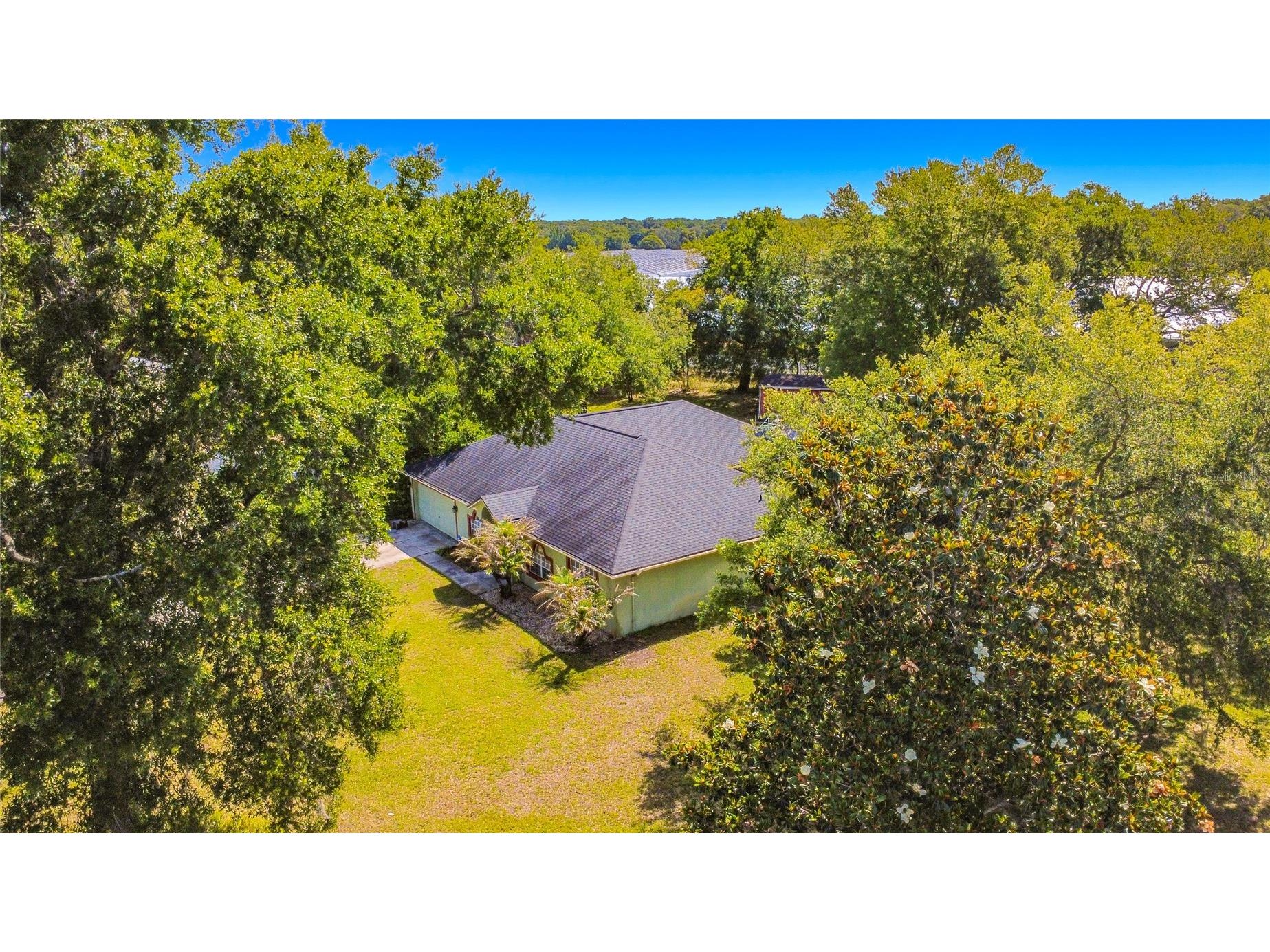 7400 Lake Marni Court Mount Dora FL 32757 O6405581 image47