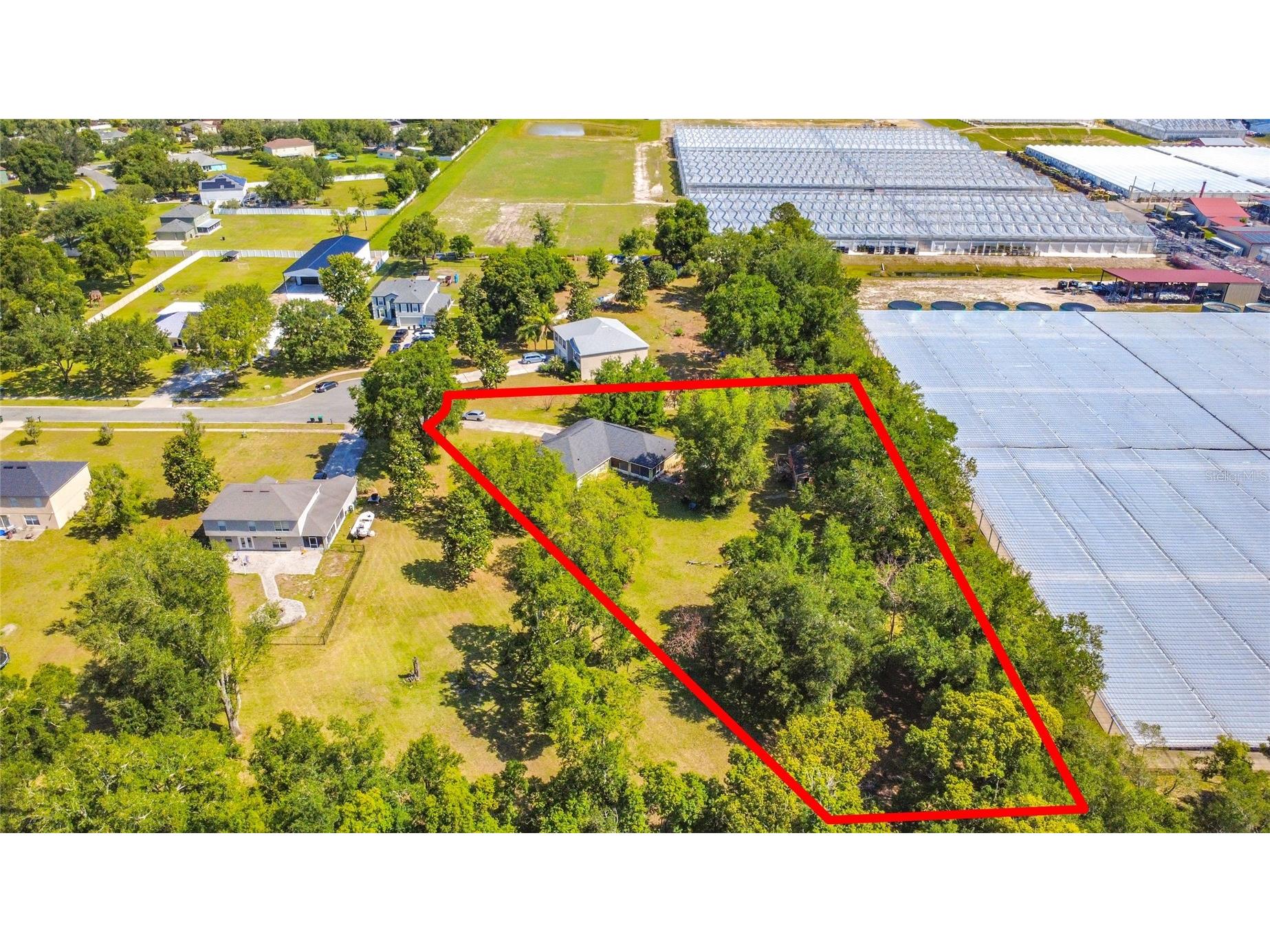 7400 Lake Marni Court Mount Dora FL 32757 O6405581 image52