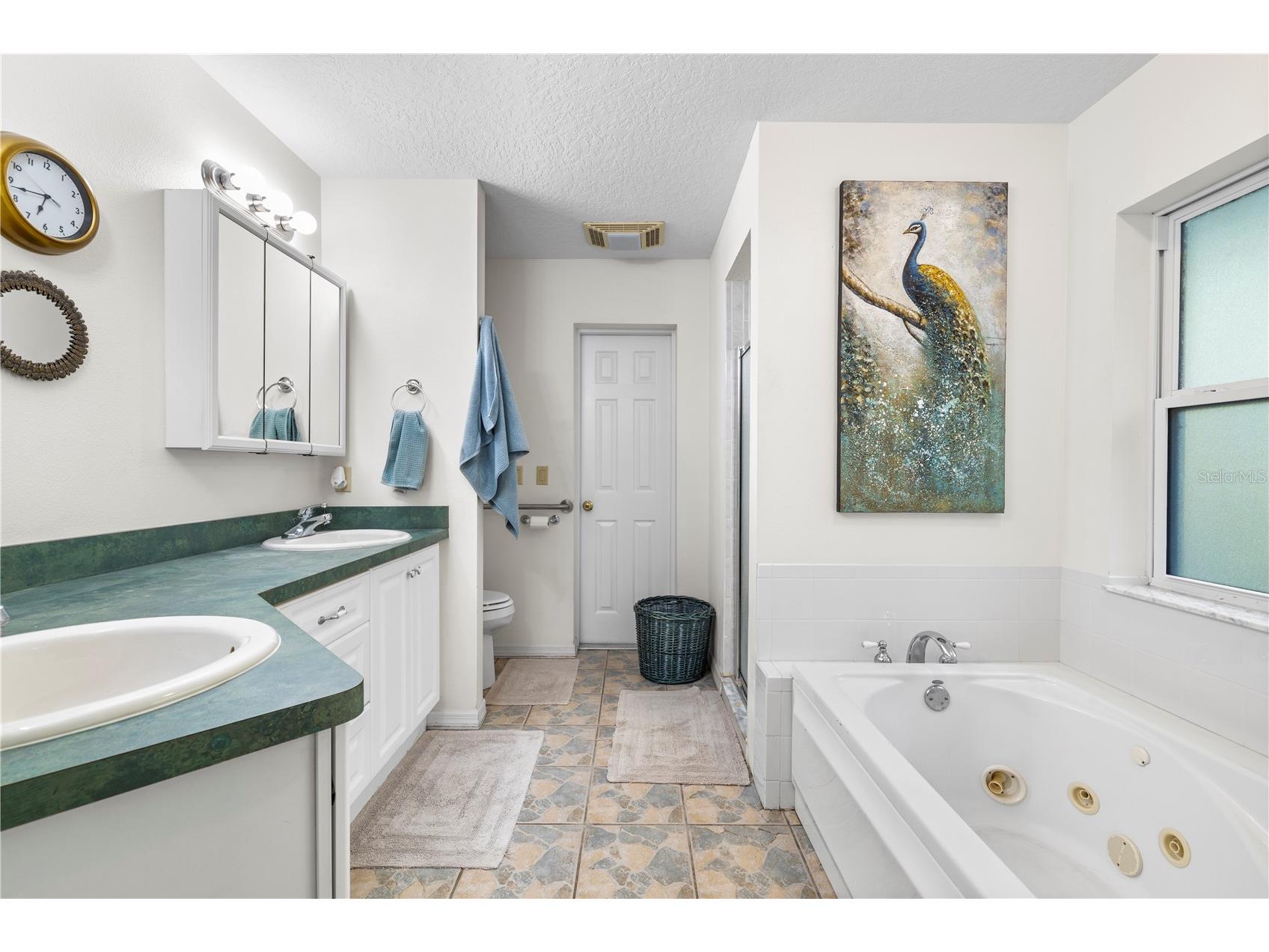 7400 S Eastlake Drive Floral City FL 34436 TB8508634 image24