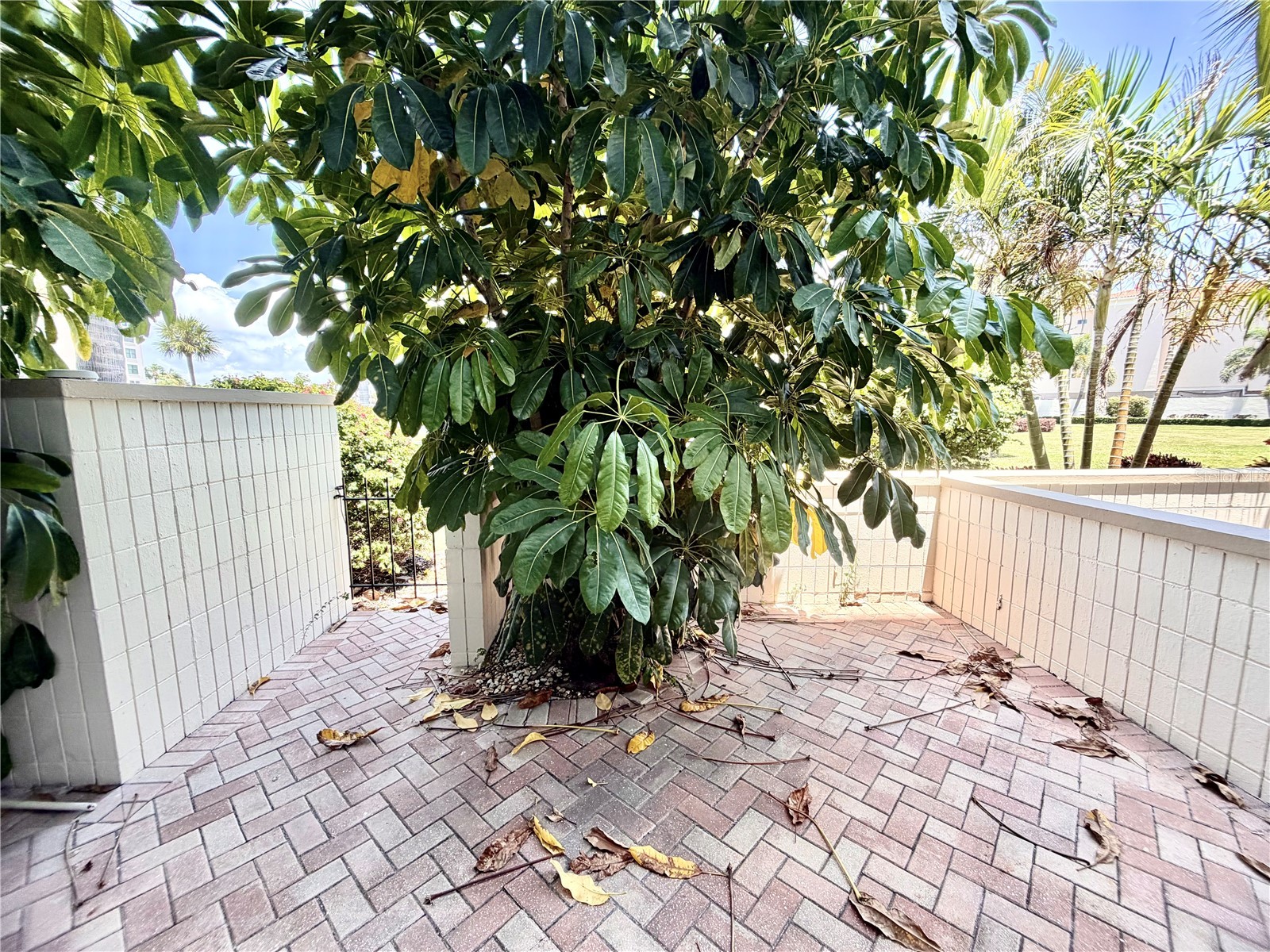 7400 Sun Island Drive S #111 South Pasadena FL 33707 OM726914 image26