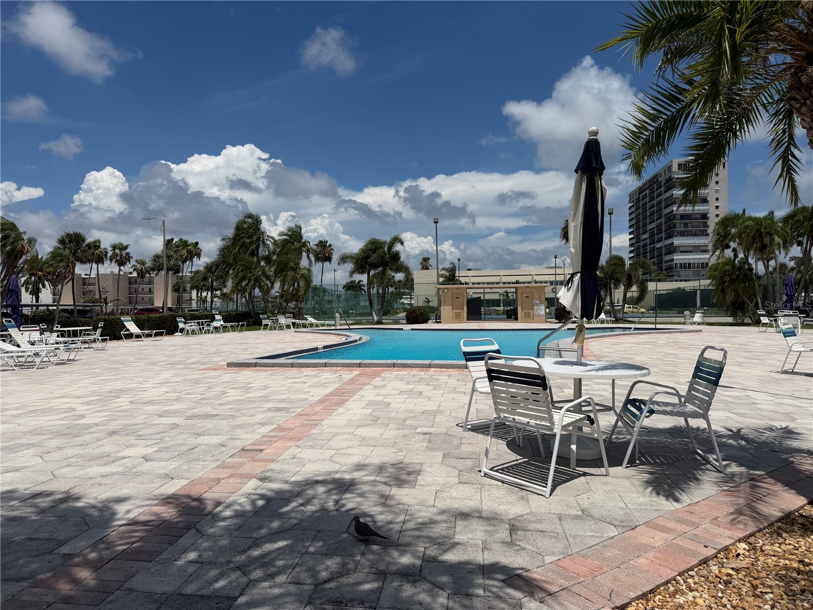 7400 Sun Island Drive S #111 South Pasadena FL 33707 OM726914 image33