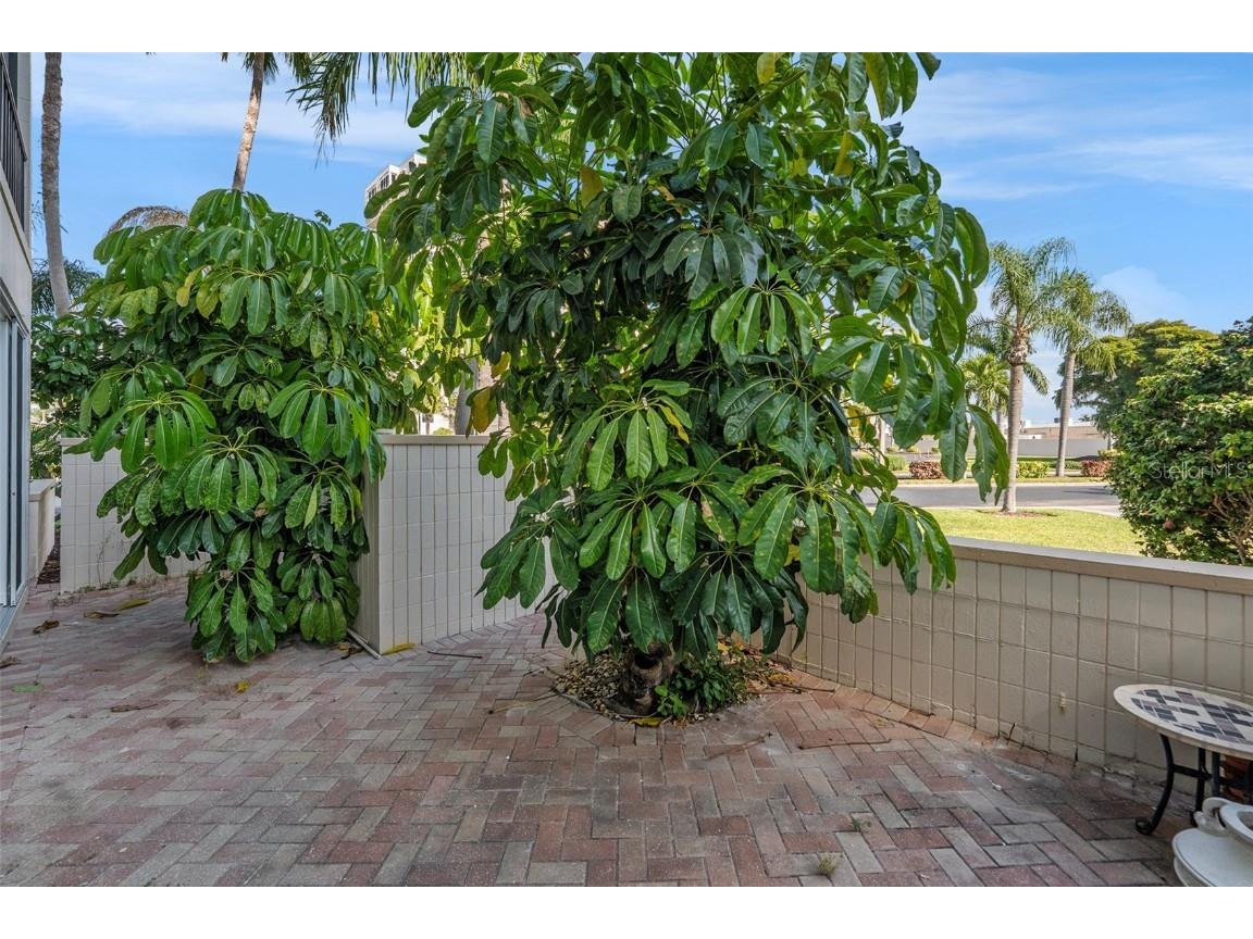 7400 Sun Island Drive S #111 South Pasadena FL 33707 - BOCA CIEGA BAY TB8444242 image24