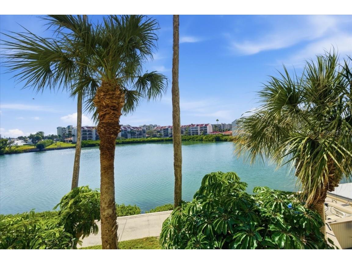 7400 Sun Island Drive S #202 South Pasadena FL 33707 TB8450519 image34