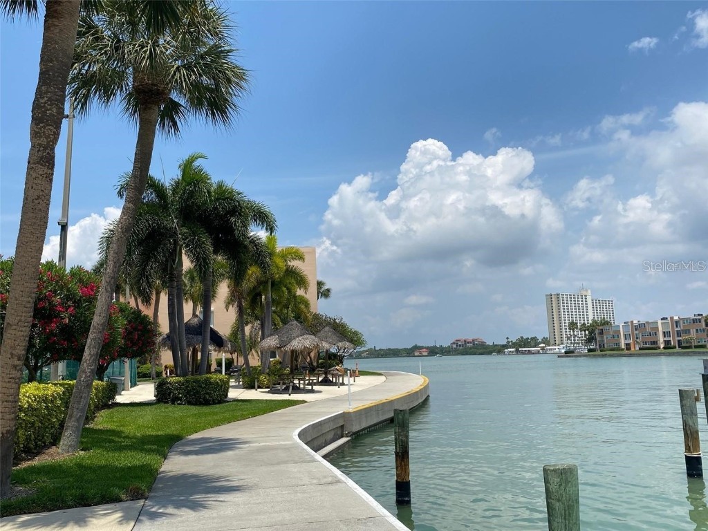 7400 Sun Island Drive S #202 South Pasadena FL 33707 TB8450519 image41