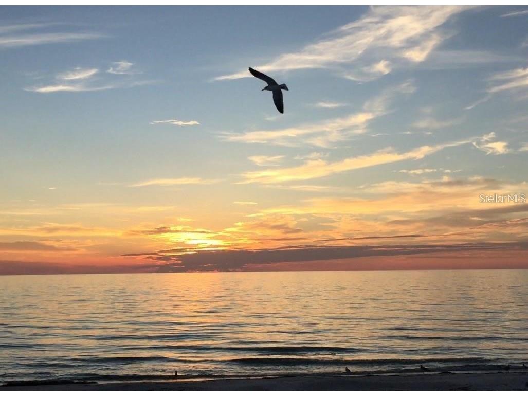 7400 Sun Island Drive S #202 South Pasadena FL 33707 TB8450519 image60