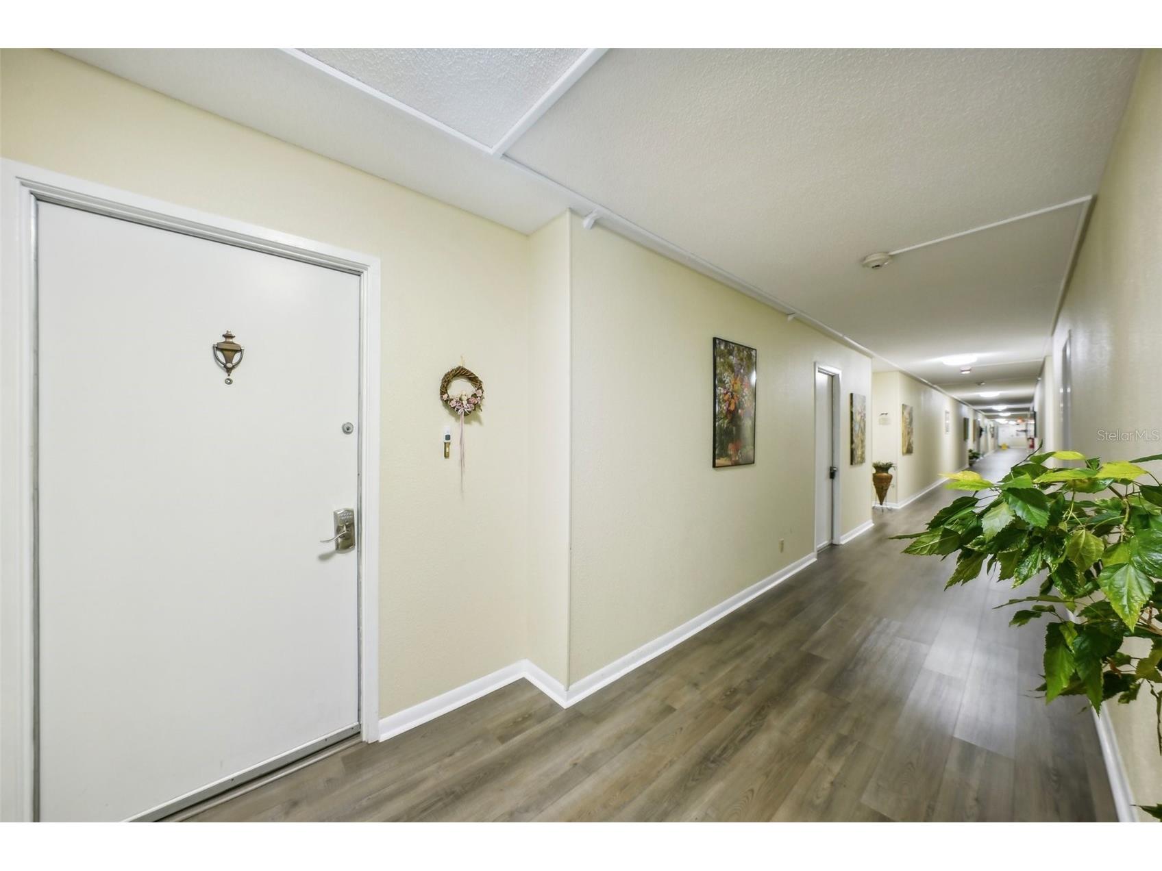 7400 Sun Island Drive S #802 South Pasadena FL 33707 TB8392932 image7