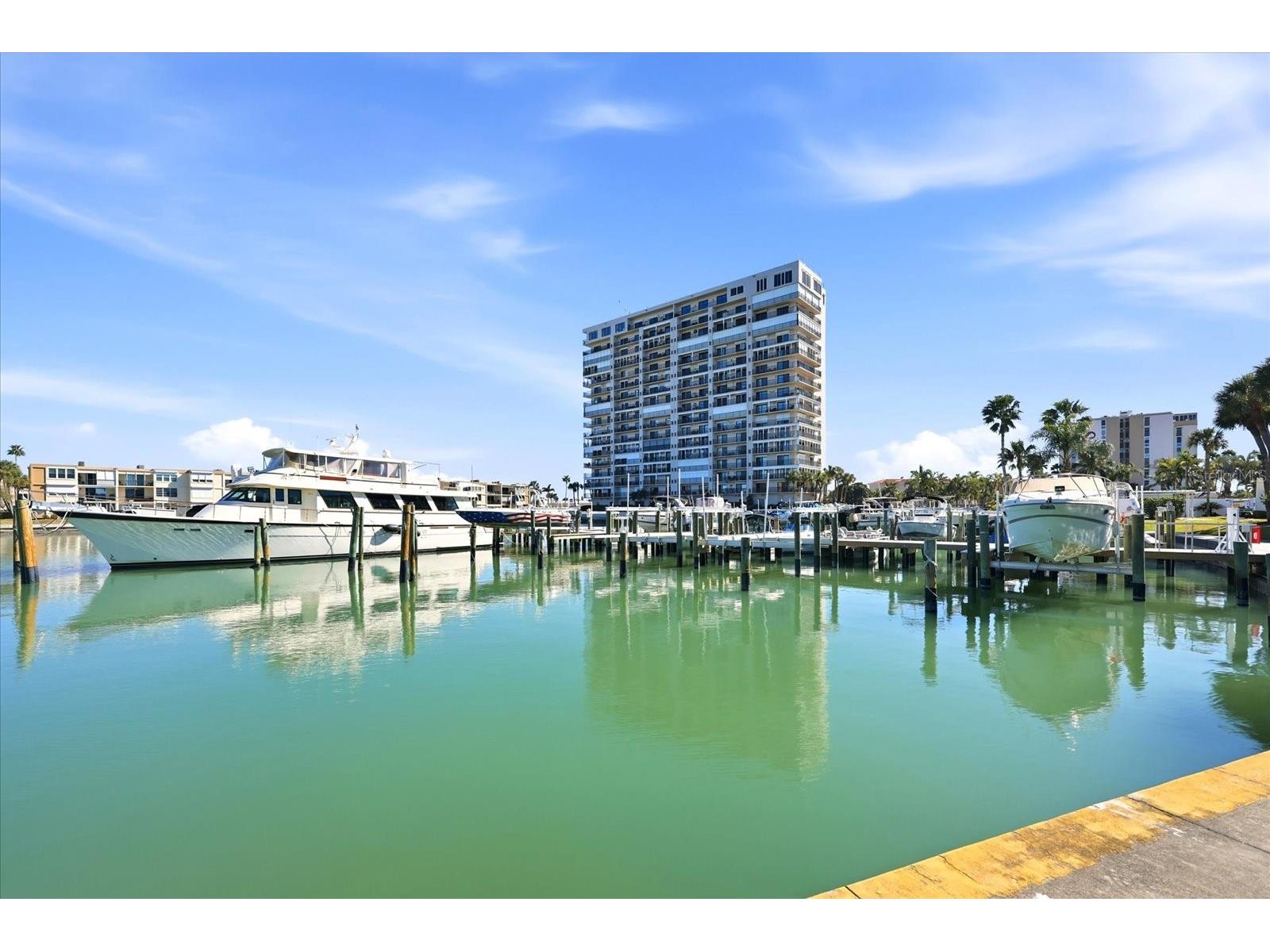 7400 Sun Island Drive S #810 South Pasadena FL 33707 TB8428703 image36