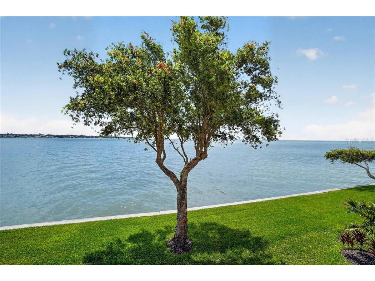 7400 Sunshine Skyway Lane S #126 Saint Petersburg FL 33711 - TAMPA BAY/GULF OF MEXICO TB8521305 image29
