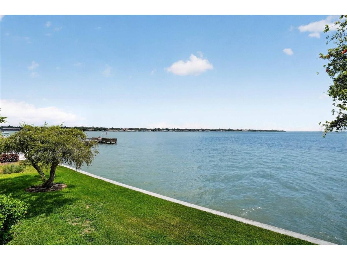 7400 Sunshine Skyway Lane S #126 Saint Petersburg FL 33711 - TAMPA BAY/GULF OF MEXICO TB8521305 image30