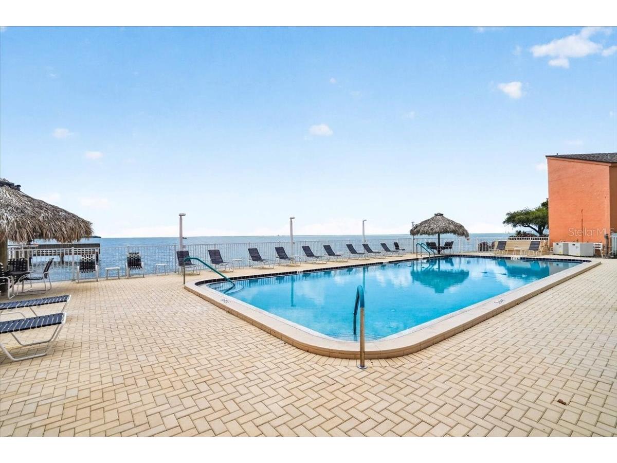 7400 Sunshine Skyway Lane S #126 Saint Petersburg FL 33711 - TAMPA BAY/GULF OF MEXICO TB8521305 image39