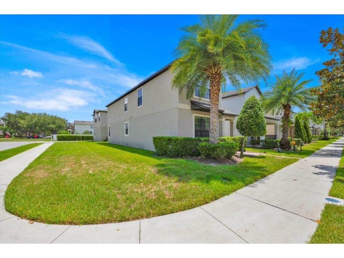 7401 Ella Lane Windermere FL 34786 O6337094 image3