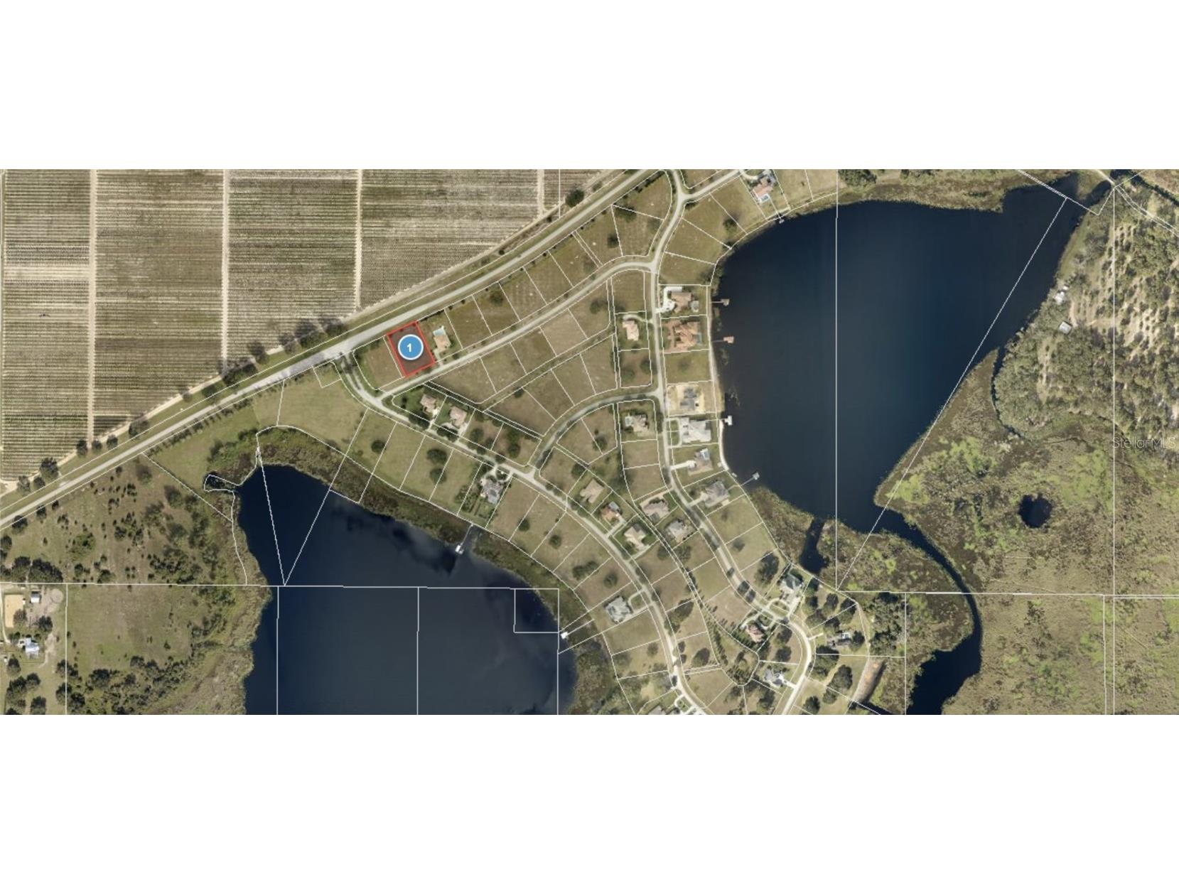 7401 Jasmine Street Groveland FL 34736 TB8354154 image1