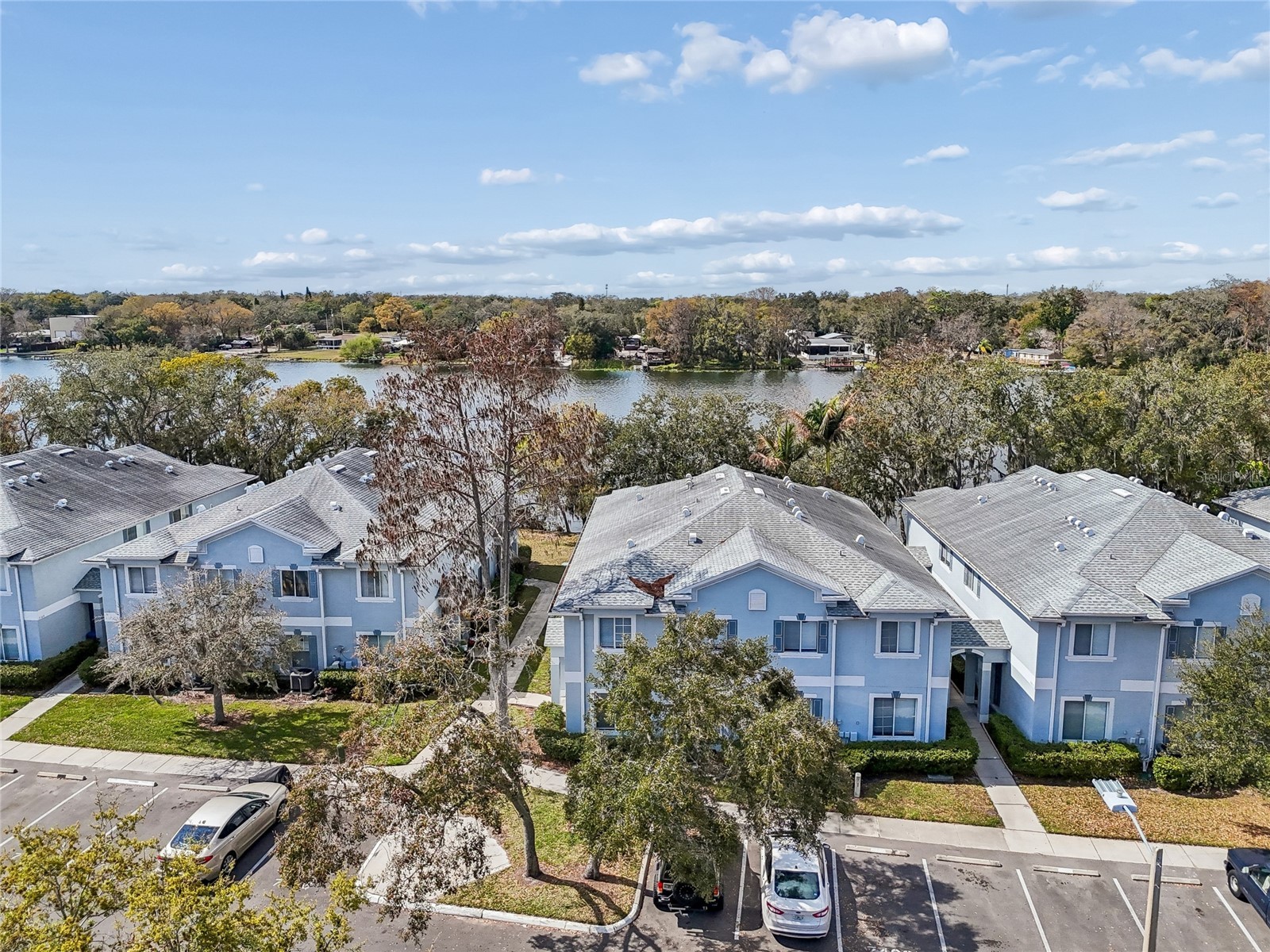 7402 E Bank Drive Tampa FL 33617 TB8479000 image48