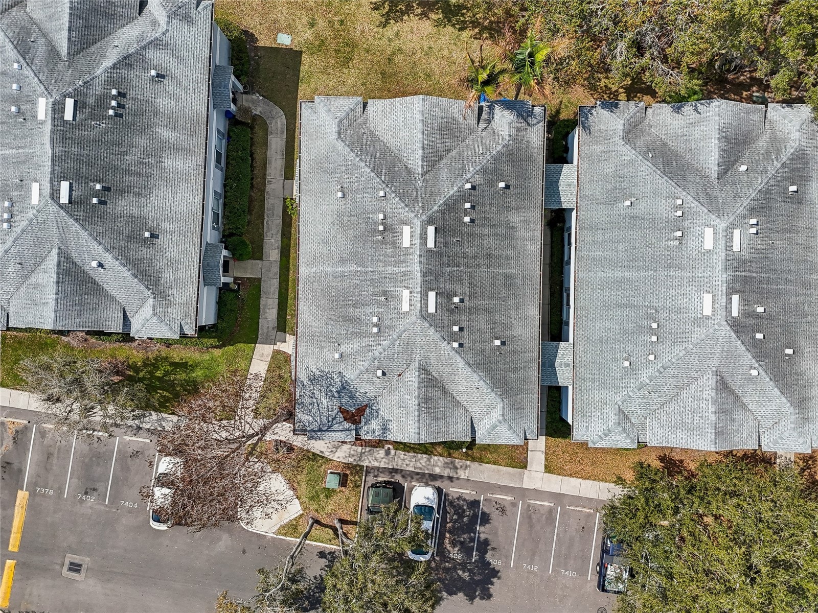 7402 E Bank Drive Tampa FL 33617 TB8479000 image52