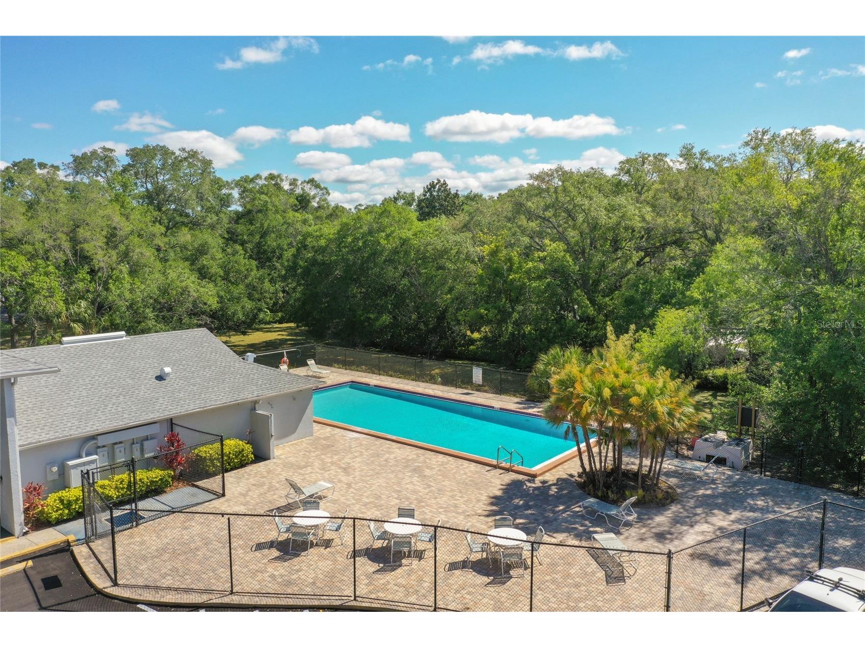7402 E Bank Drive Tampa FL 33617 TB8479000 image59