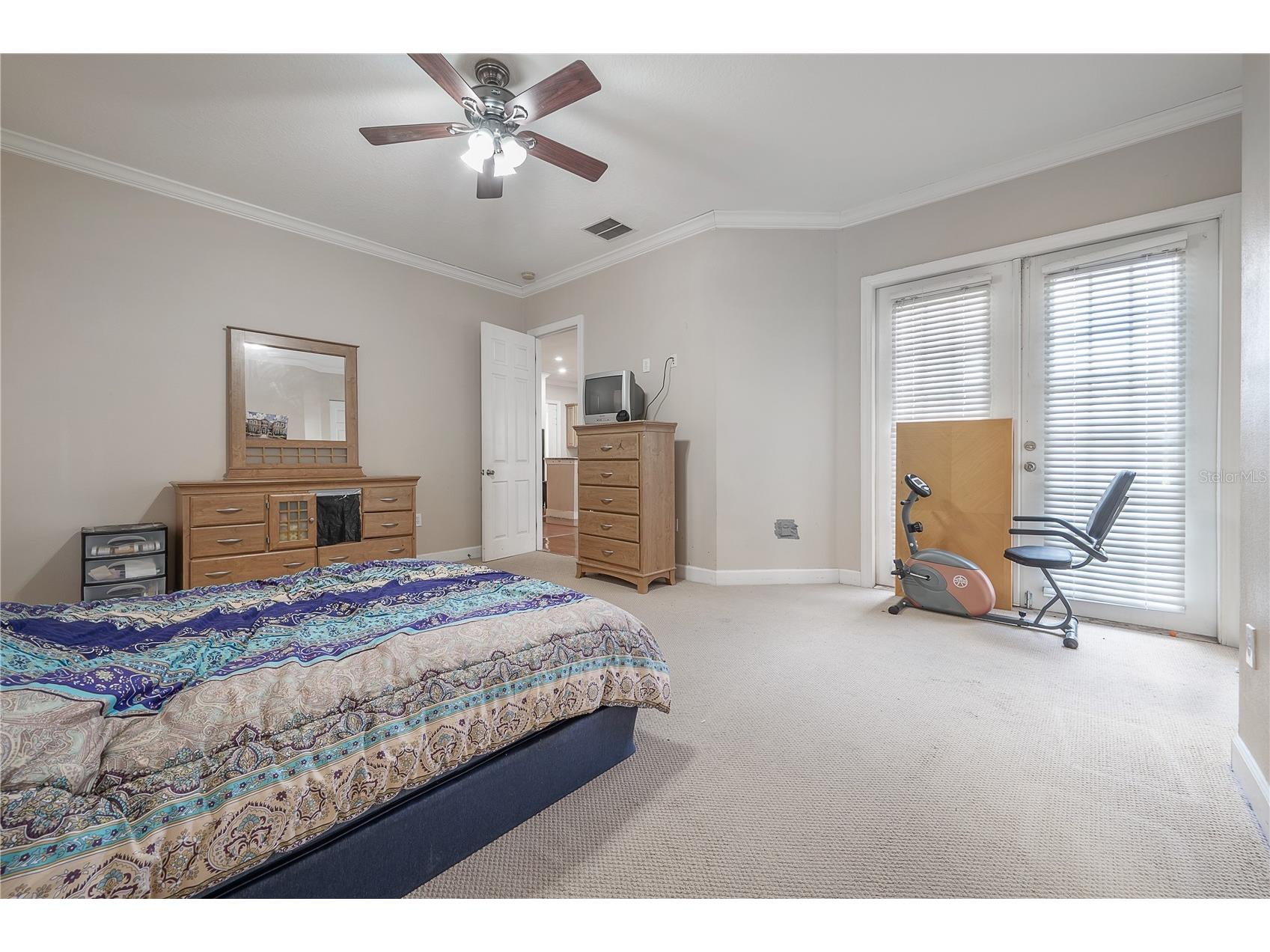 7402 N Central Avenue Tampa FL 33604 TB8477598 image25