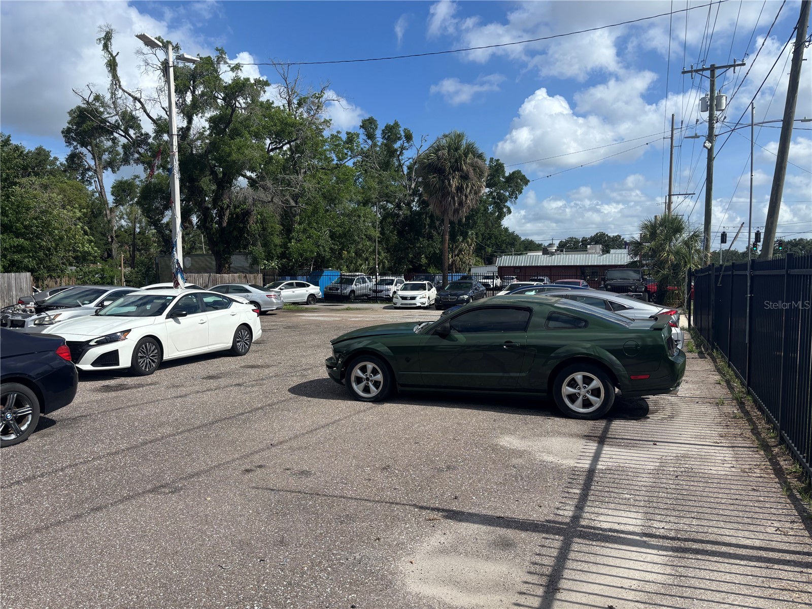 7402 N Nebraska Avenue Tampa FL 33604 TB8520524 image2