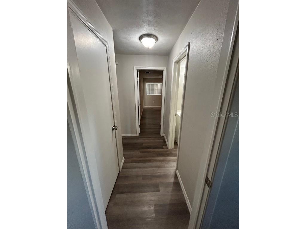 7403 Foxbloom Drive Port Richey FL 34668 S5119968 image13