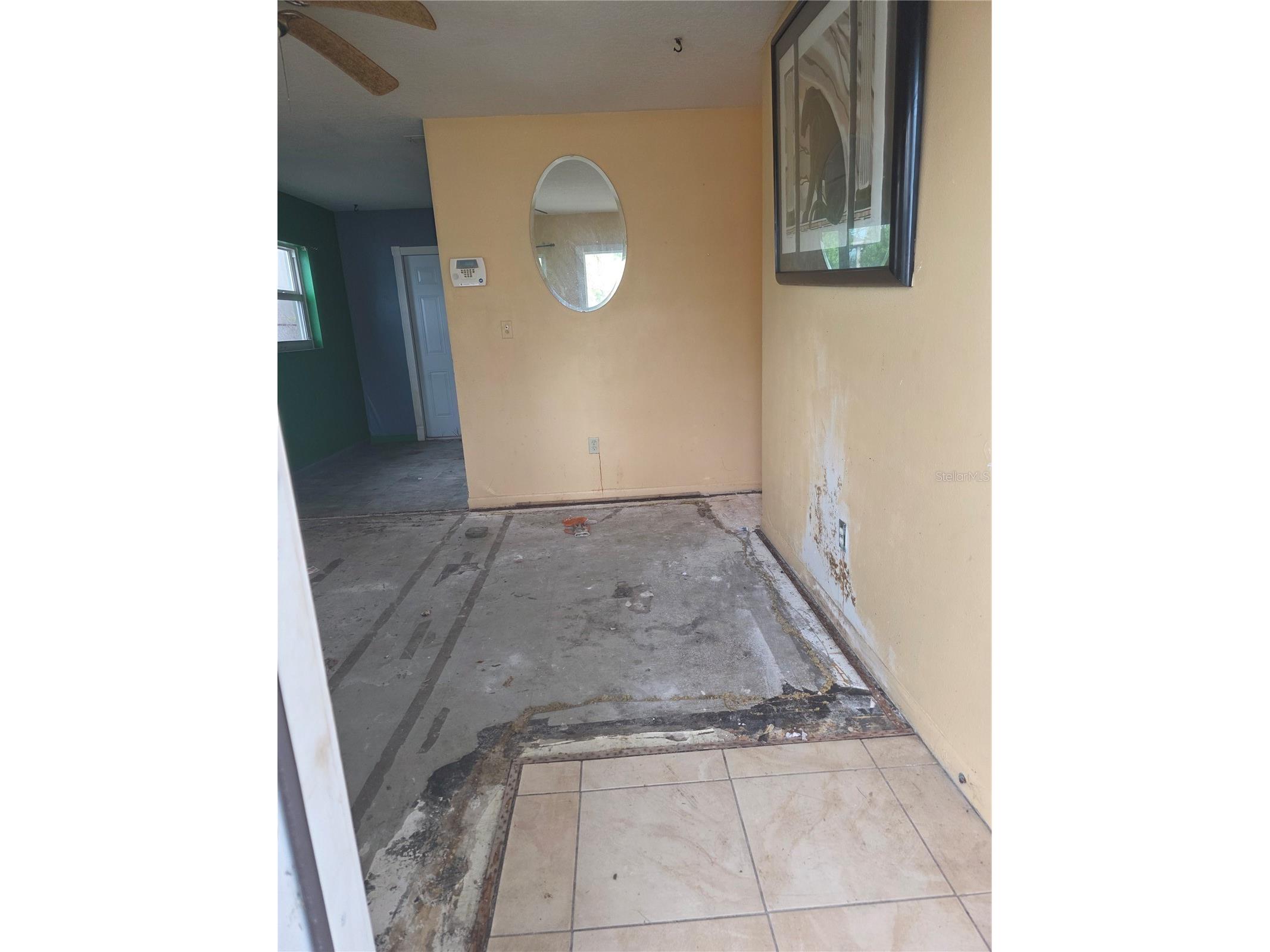 7403 S Faul Street Tampa FL 33616 TB8526705 image6