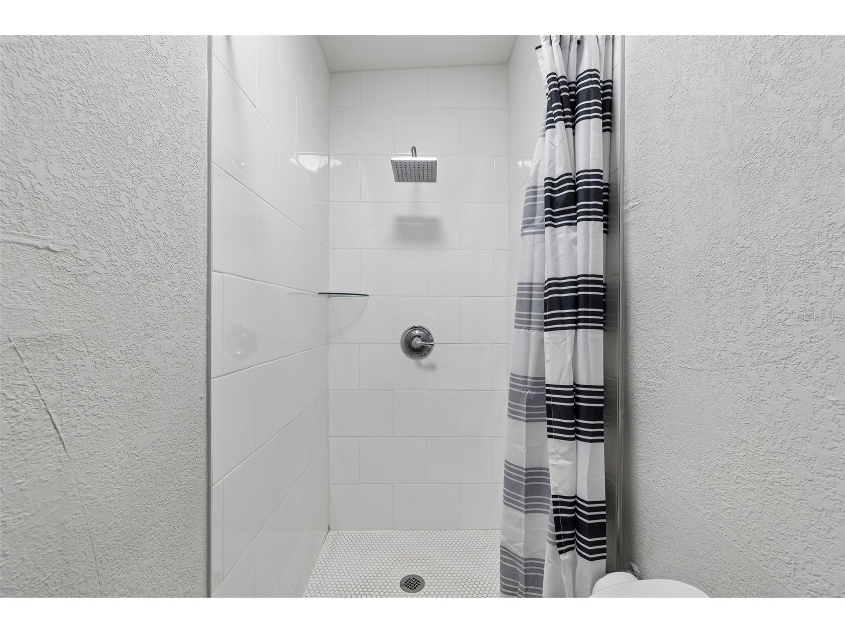 7403 Spring Court Tampa FL 33634 TB8485769 image41
