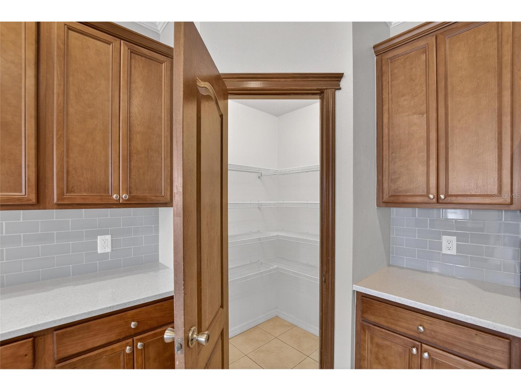 7403 Surrey Wood Lane Apollo Beach FL 33572 TB8473832 image16