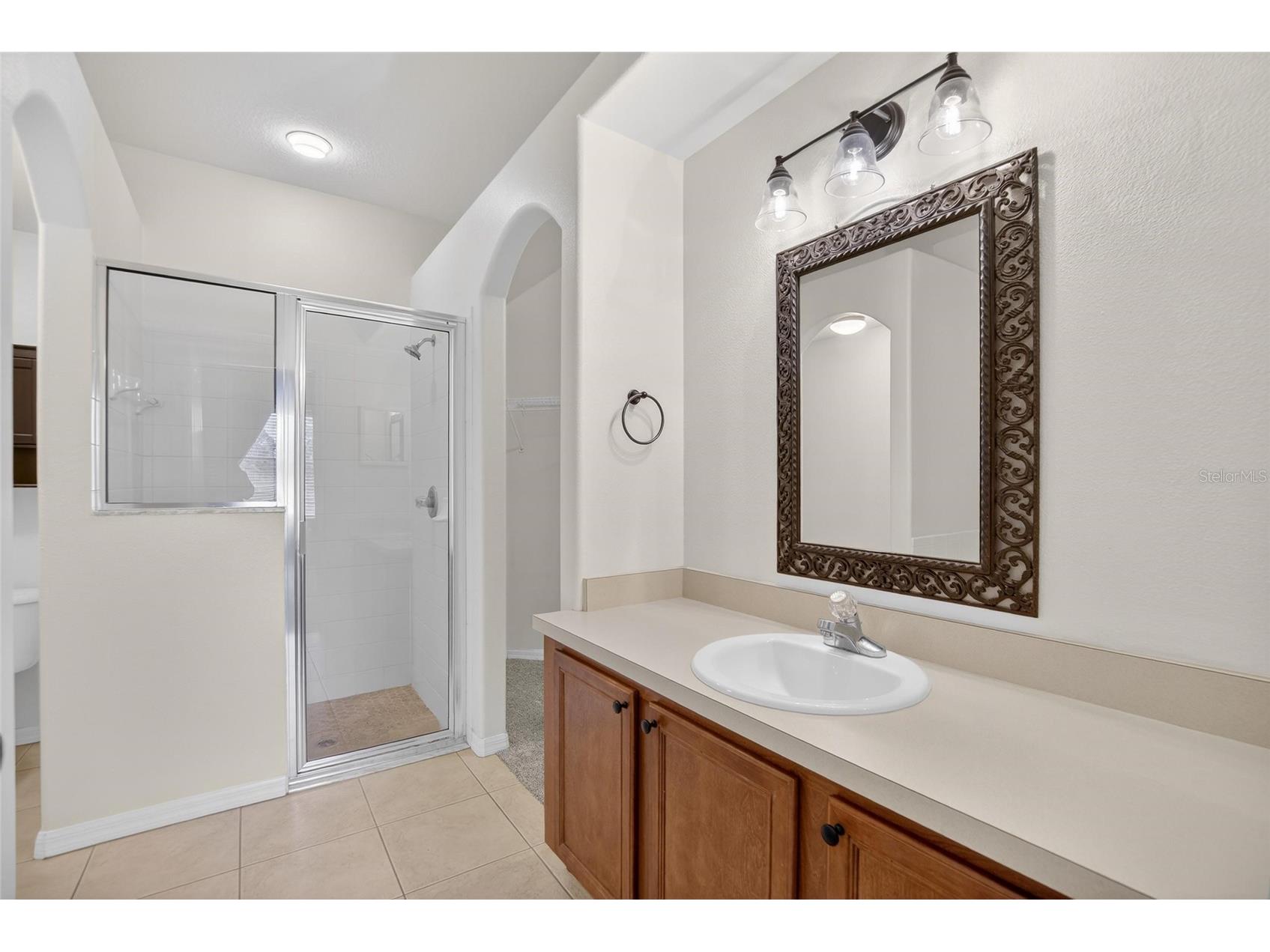 7403 Surrey Wood Lane Apollo Beach FL 33572 TB8473832 image33