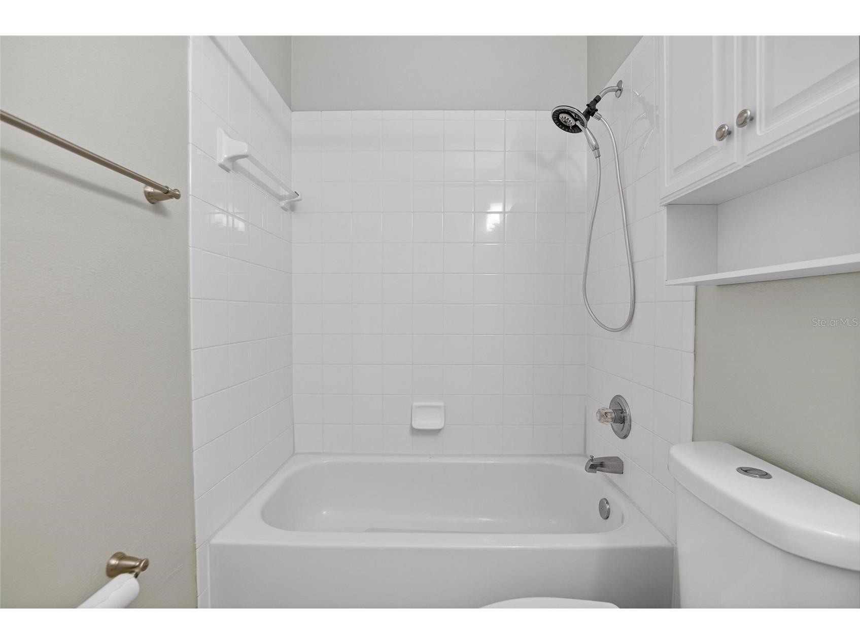 7403 Surrey Wood Lane Apollo Beach FL 33572 TB8473832 image41