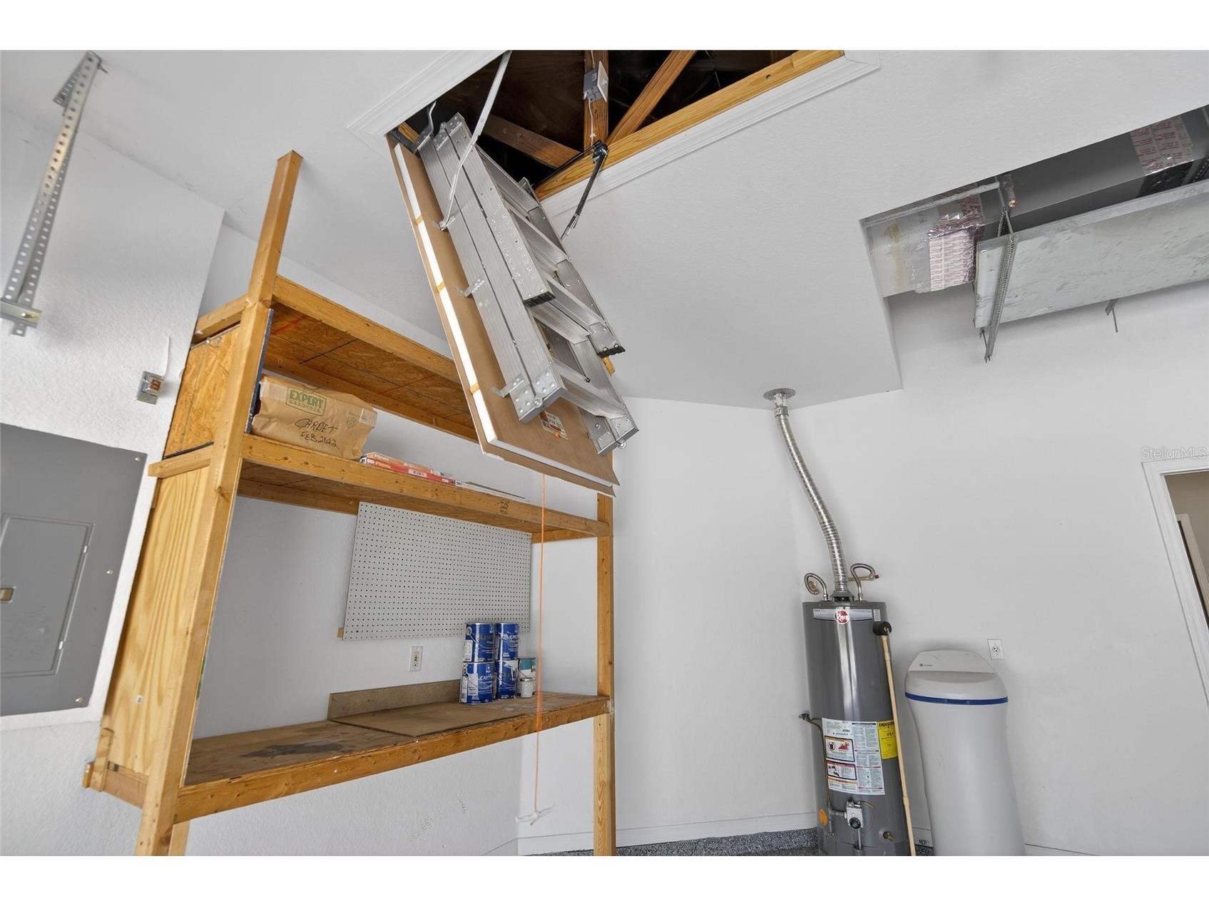 7403 Surrey Wood Lane Apollo Beach FL 33572 TB8473832 image51