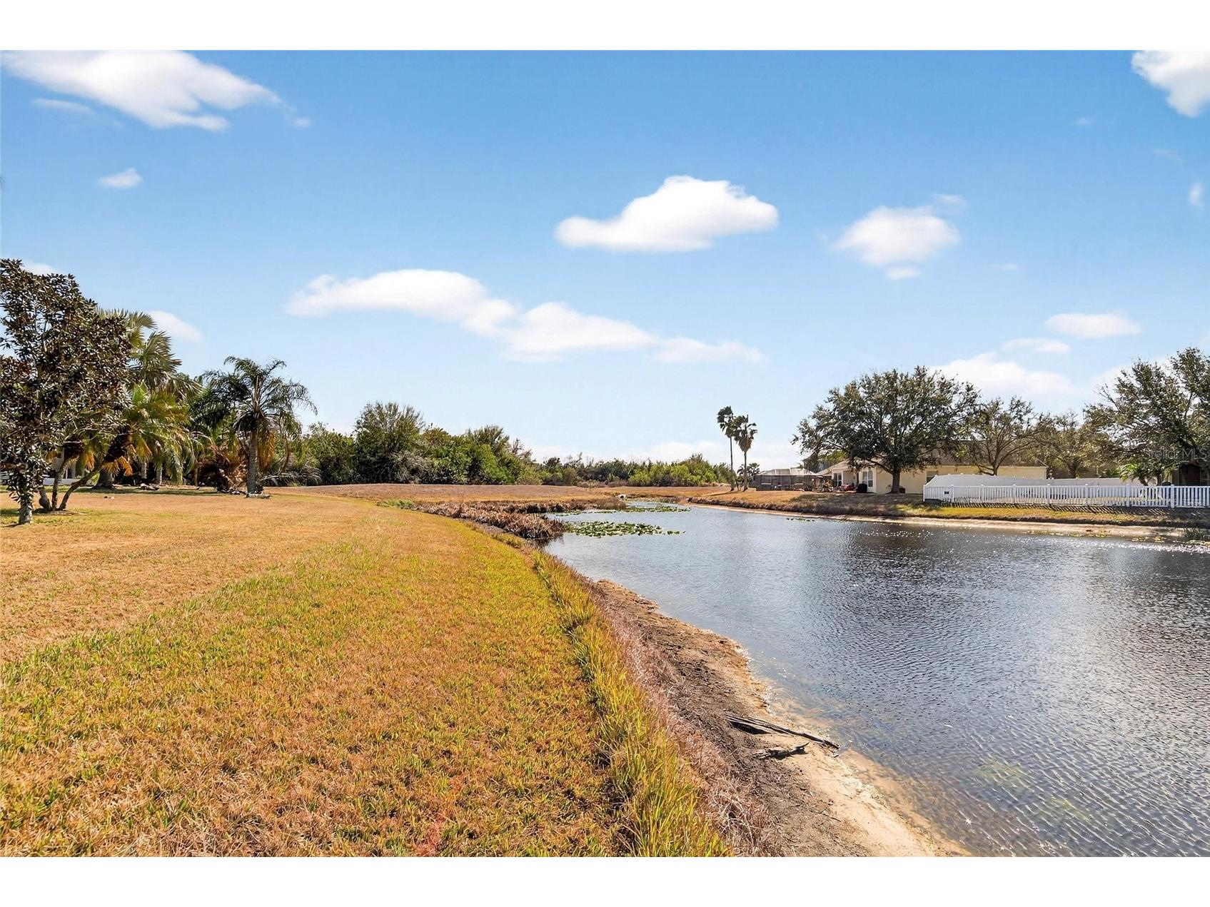 7403 Surrey Wood Lane Apollo Beach FL 33572 TB8473832 image57