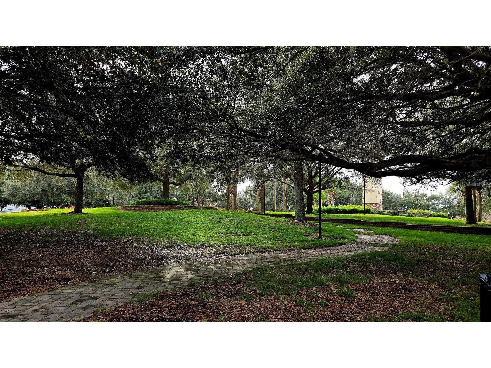 7403 Surrey Wood Lane Apollo Beach FL 33572 TB8473832 image84