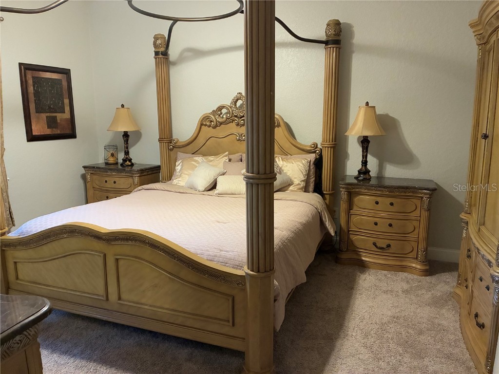 7404 Newburns Place #3 New Port Richey FL 34655 TB8432270 image19