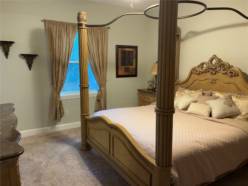 7404 Newburns Place #3 New Port Richey FL 34655 TB8432270 image21