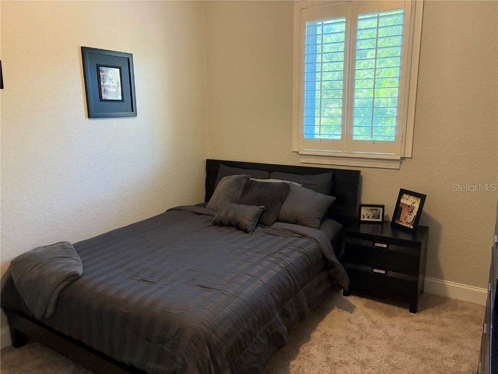 7404 Newburns Place #3 New Port Richey FL 34655 TB8432270 image25